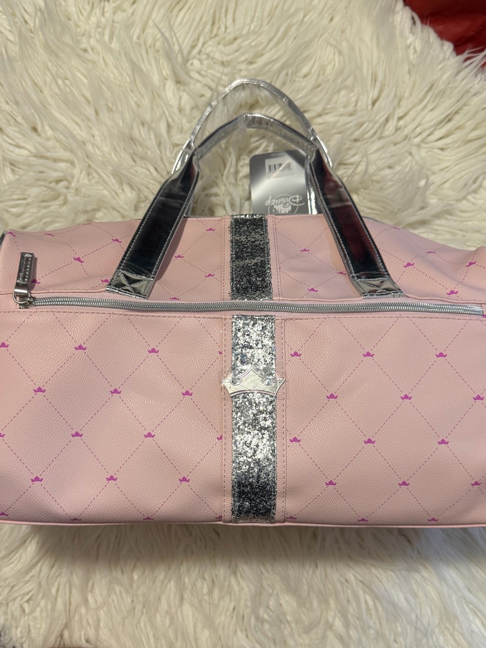 Disney Princess Ballet Bag